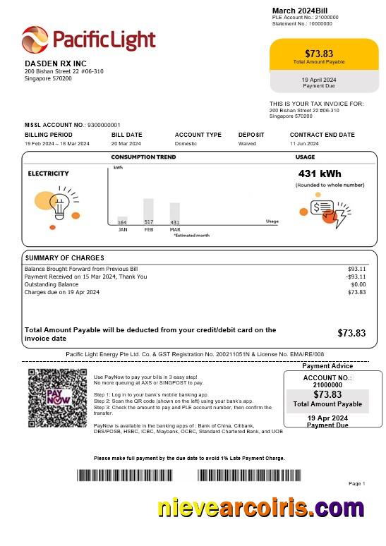 Singapore Pacific Light electricity business utility bill